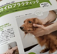 取材を受けた雑誌の掲載記事